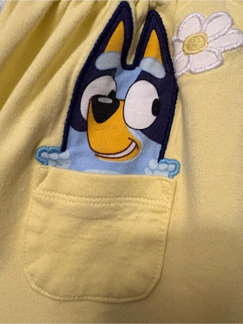 Little sleepies bluey garden games yellow flower patch pocket dress 6-12 months
